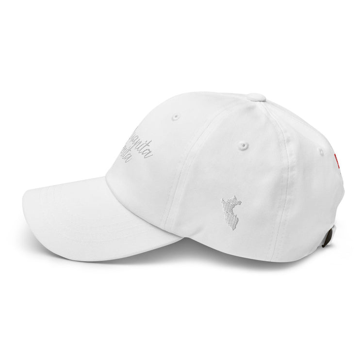 Peruanita bonita hat made in USA| PeruvianMood